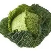 Whole Australian Grown Head of Cabbage – Crisp, Fresh & Full of Flavour Bivi