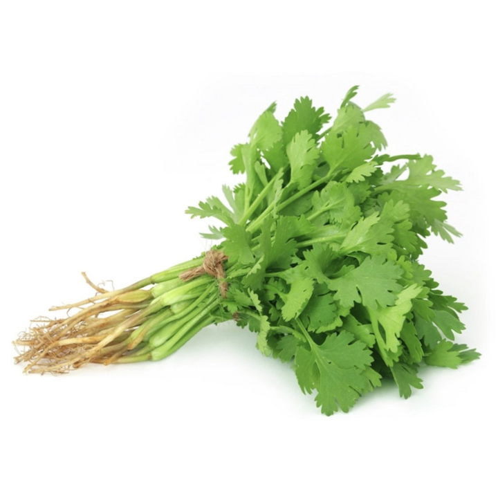 Fresh Coriander Bunch – Picked, Washed and Ready to Use Bivi