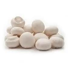 Button Mushrooms – Fresh Gourmet White Mushroom Caps Bivi