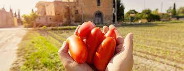 Discovering Italy's Gem: Aunt Rosa's Zia Rosa San Marzano Tomatoes