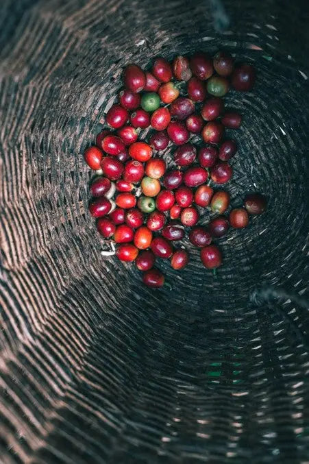 Axil-Coffee-Roasters-Savouring-Excellence-with-Sebastian-Gomez-s-Colombian-Espresso petitstresors