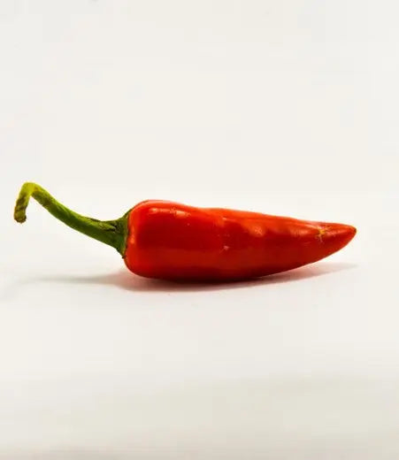 Experience-Chilli-Oil-with-PetitsTresors-Italian-Style petitstresors