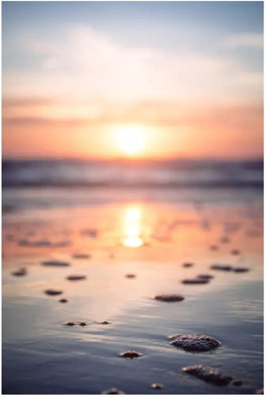 picture of beach sunset