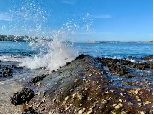 picture of shore and ocean
