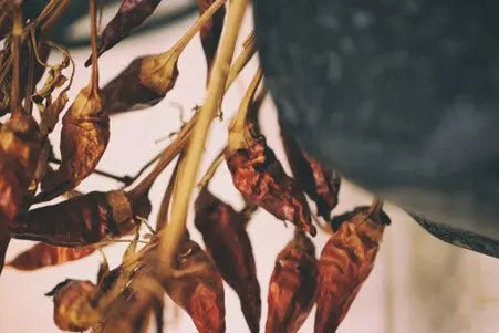 Unleashing-Culinary-Magic-Exploring-El-Cielo-Dried-Guajillo-Chile-at-PetitsTresors.com.au petitstresors