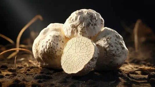 Unveiling-Culinary-Luxe-EuroPantry-s-Crema-Di-Funghi-Porcini-Con-Tartufo-Bianco petitstresors