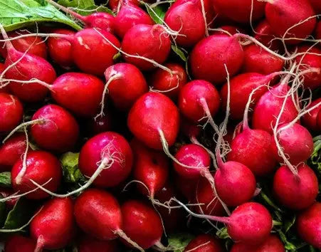 Discover-the-Gut-Friendly-Delights-of-Gutsy-Ferments-at-PetitsTresors.com.au petitstresors