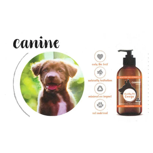 Daily Omega-3 Supplementation Guide