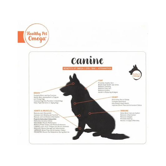 Calamari Oil Omega-3 Brain Benefits: Boost Dogs' Cognitive Health - Petits Tresors