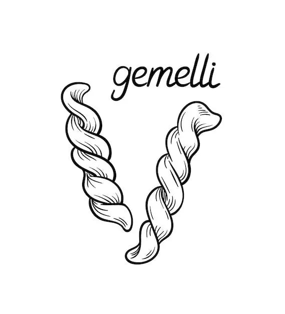 Culinary-Delight-Exploring-Gemelli-Pasta-by-La-Molisana-at-PetitsTrésors.com.au petitstresors
