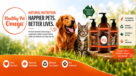 Why Omega Nutrition Matters for Dogs & Cats Petits Tresors