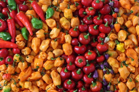 picture of chillies