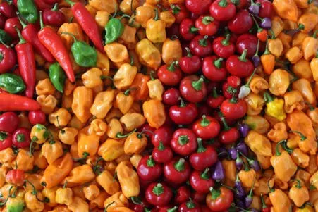 picture of chillies