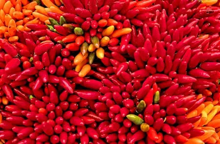 picture of chillies