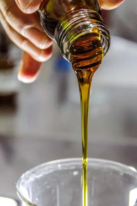 Unlocking-the-Liquid-Gold-The-World-of-Olive-Oil petitstresors