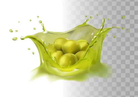 From-the-Wumbulgal-Hills-to-Your-Table-The-Art-of-Morella-Grove-s-Premium-EVOO petitstresors
