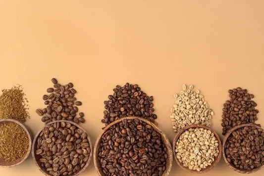 Discover-Seven-Seeds-Where-Coffee-Dreams-Begin petitstresors