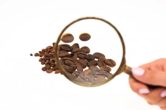 From-Proud-Mary-to-Espresso-Ecstasy-Navigating-Melbourne-s-Caffeine-Wonderland petitstresors