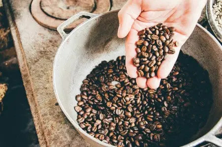 Discovering-Seven-Seeds-Coffee-Concentrate-A-Caffeine-Revolution petitstresors