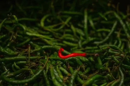 picture of chillies