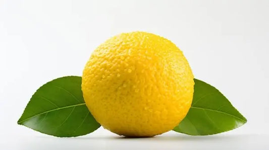 Exploring-Yuzu-Kosho-A-Culinary-Symphony-of-Spice-Citrus-and-Japanese-Artistry petitstresors