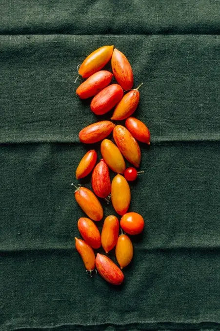 From-Italy-with-Love-Zia-Rosa-D.O.P.-San-Marzano-Unveiling-the-Romance-of-Italian-Cuisine petitstresors
