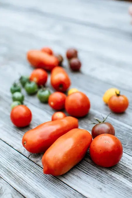 Savouring-Sweetness-Zia-Rosa-D.O.P.-San-Marzano-The-Epitome-of-Italian-Tomato-Excellence petitstresors