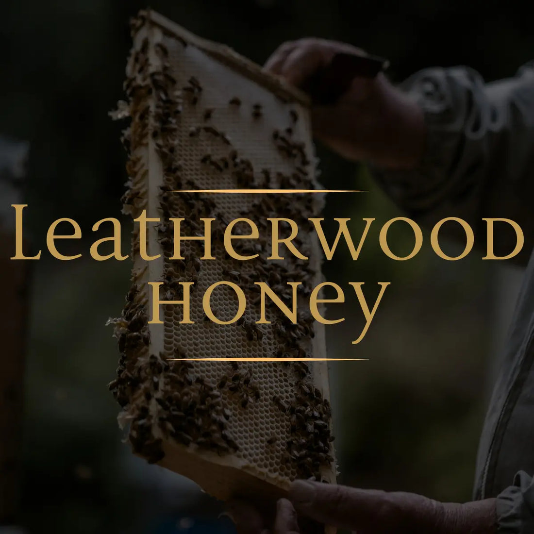 Tasmanian Honey Leatherwood Honey - Petits Tresors