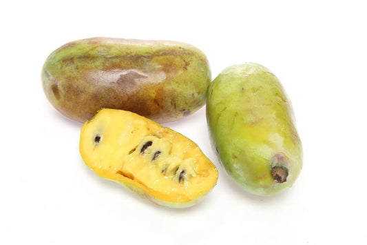 Pawpaw Benefits: A Complete Guide to This Unique Fruit’s Uses - Petits Tresors