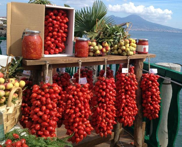 Unveiling San Marzano: Vesuvius' Tomato Crown Jewel!