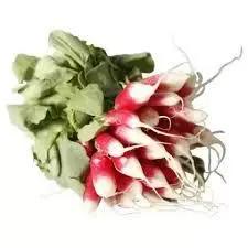 Australian Grown Baby Radish – Mini Roots With Crunch & Colour Bivi