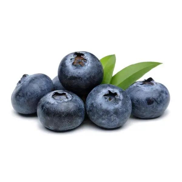 Australian Fresh Blueberries – 125 g Punnet of Juicy Gourmet Berries Bivi