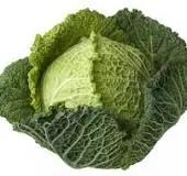 Whole Australian Grown Head of Cabbage – Crisp, Fresh & Full of Flavour Bivi