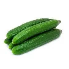Australian Grown Continental Cucumber – Long, Crisp & Gourmet Bivi