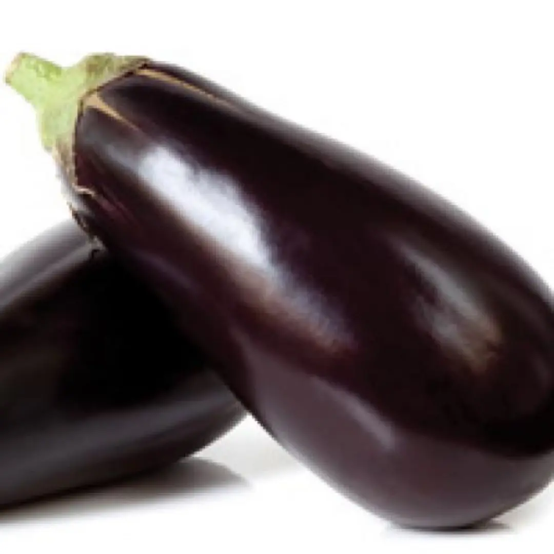 Eggplants – Fresh Gourmet Aubergines for Roasting & Sautéing Bivi