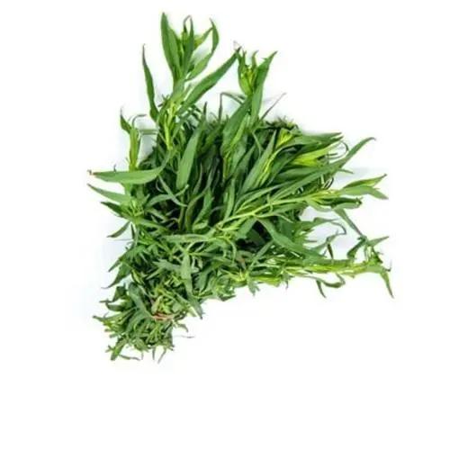 Premium Fresh Tarragon Bunch – Aromatic Culinary Herb Bivi