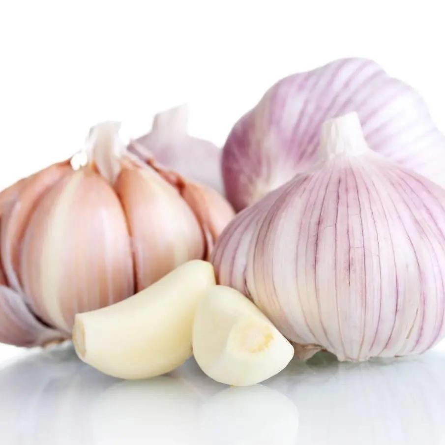 Premium Australian-Grown Garlic Bivi