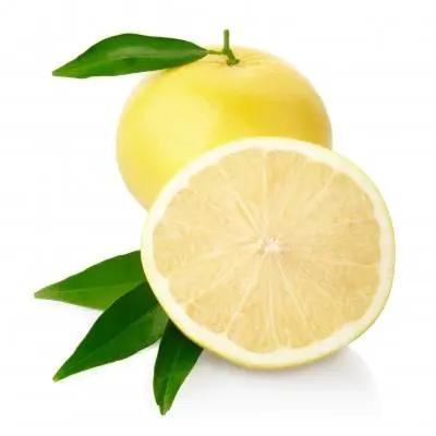 Grapefruit – Fresh, Juicy Citrus Burst Bivi