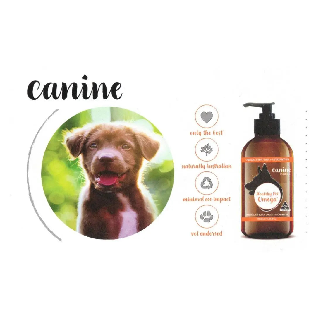 Healthy Pet Omega™ Canine - Petits Tresors