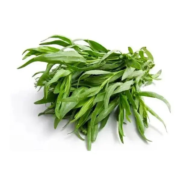 Fresh Tarragon – Aromatic French Herb with Sweet Anise Notes BIVI