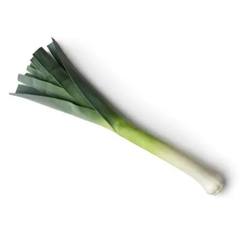 Fresh Leeks – Crisp Allium Green Vegetable for Soups, Sides & Cooking Bivi