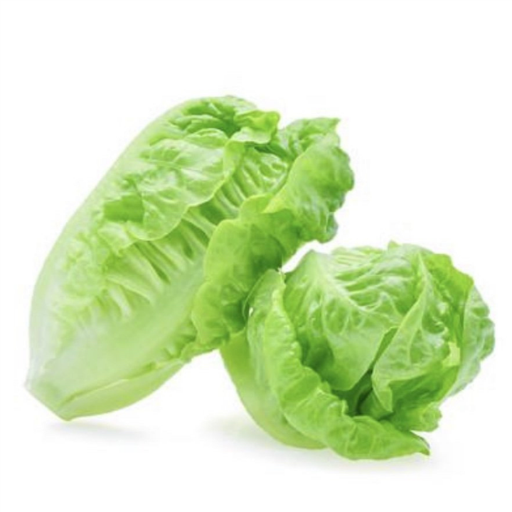 Baby Cos Gem Lettuce Hearts Bivi
