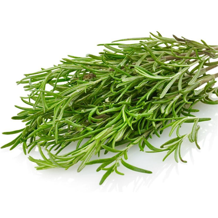 Premium Fresh Rosemary Bunch – Aromatic Culinary Herb for Roasting, Seasoning & Infusions Bivi