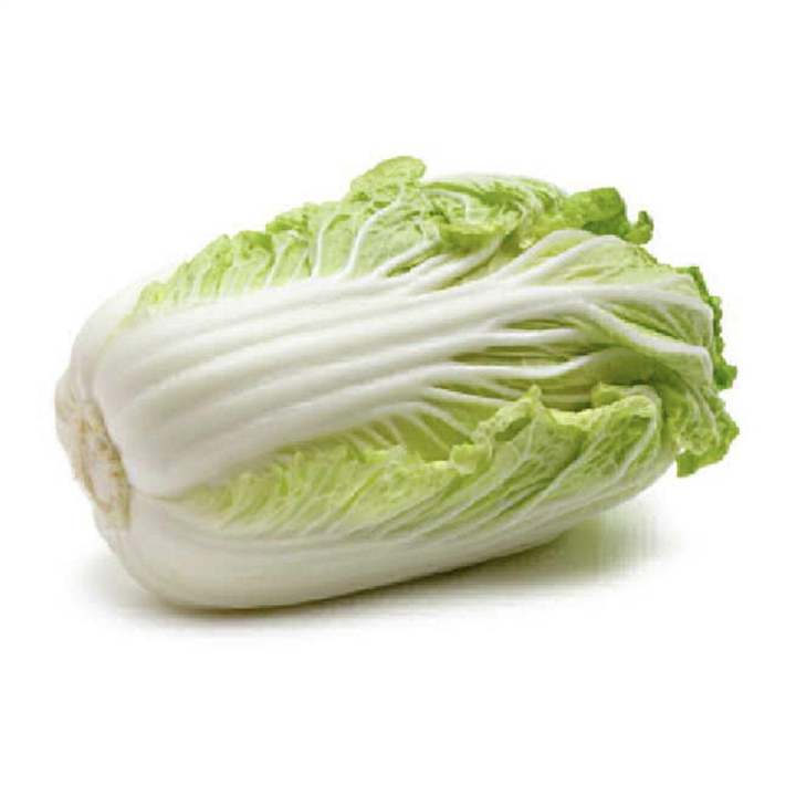 Large Wombok (Chinese Cabbage / Napa) – Fresh and Crisp Bivi